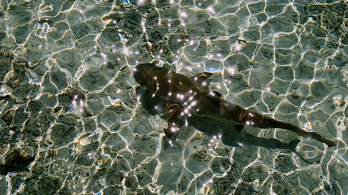Las salvajes islas Tuamotu - Un oasis en el océano