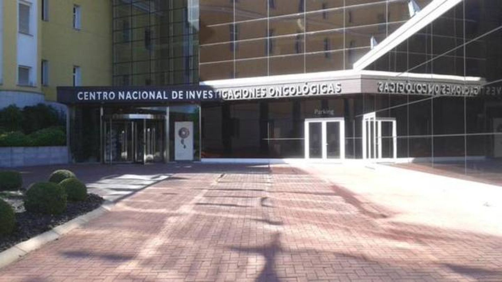 El CNIO es el centro de referencia en España en la investigación del cáncer - Telediario 2 | Ver