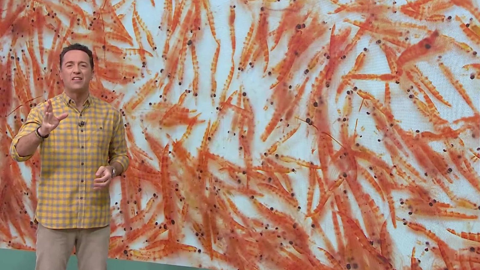 Pequeño pero esencial | Ver