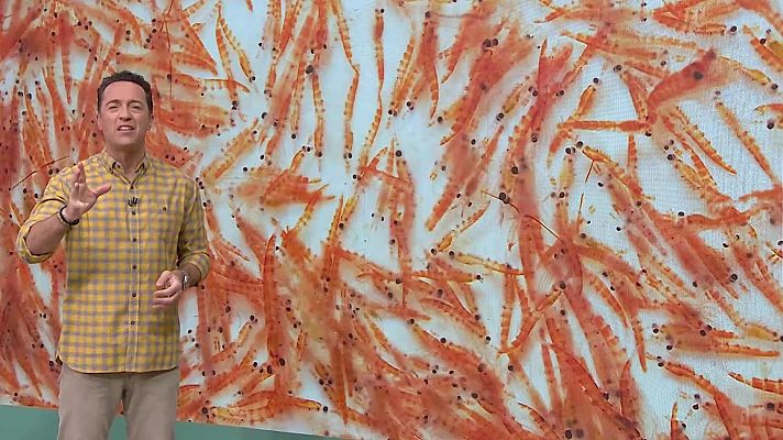 Aquí la Tierra - Pequeño pero esencial