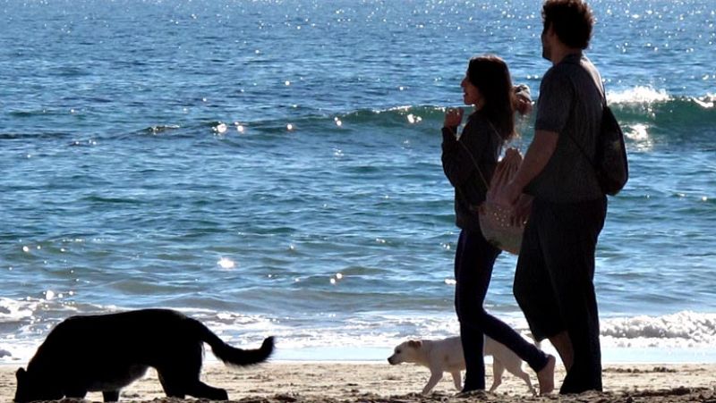 Los hoteles de Canarias casi llenaron durante las navidades