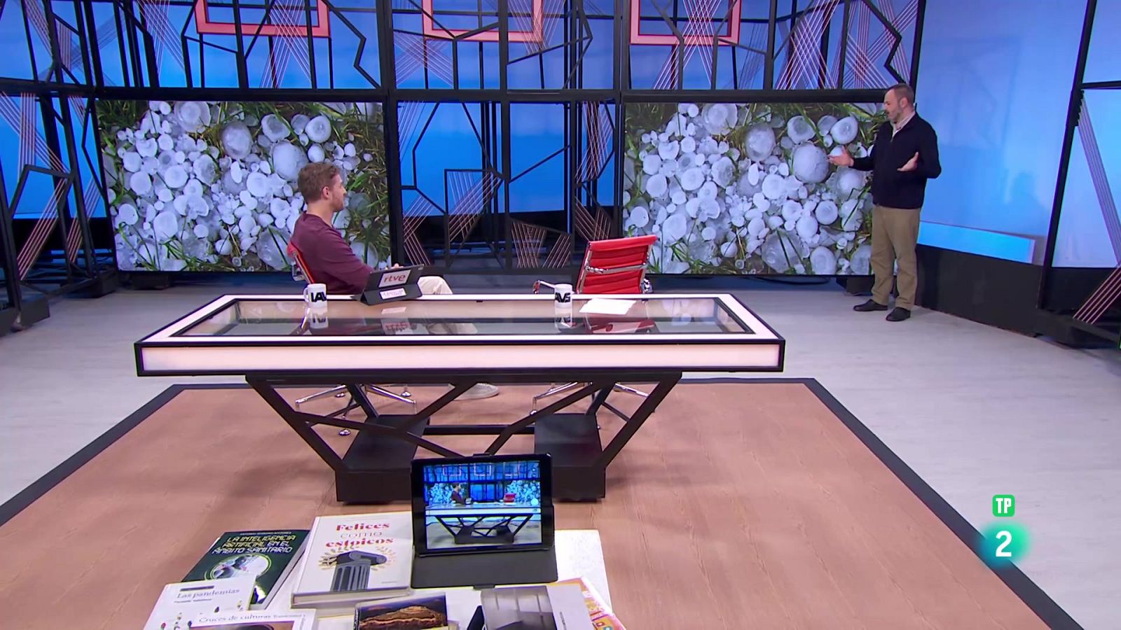 José Miguel Viñas. Los hidrometeoros de hielo - La aventura del Saber | Ver