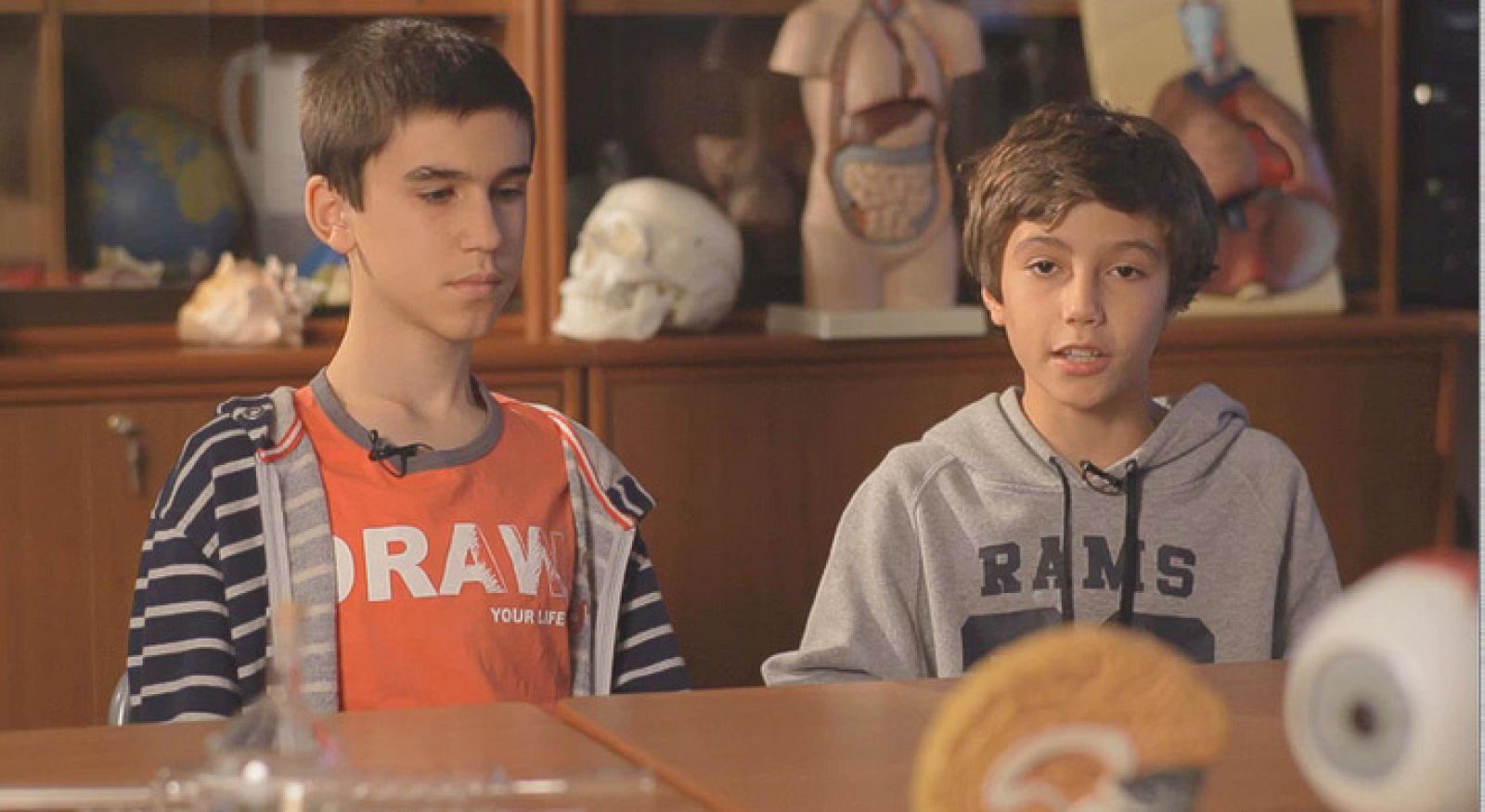 Redes - Pregúntale a Punset - ¿Porqué en el vinagre salen moscas pequeñas?