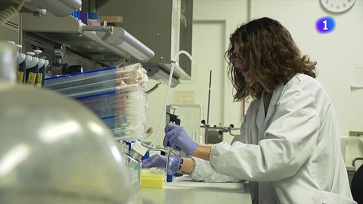 L'Informatiu - Desenvolupen un dispositiu per millorar els resultats dels tractaments d'immunoteràpia