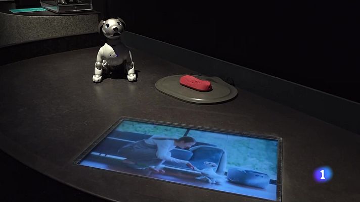 Informativo Telerioja - Informativo Telerioja - 07-02-2025