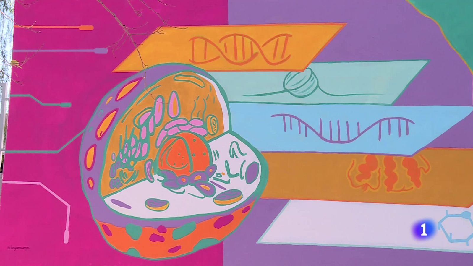 L'Informatiu de la Comunitat Valenciana 2 - 07/02/25 | Ver