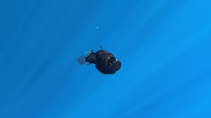 Aquí la Tierra - El diablito sube a saludar