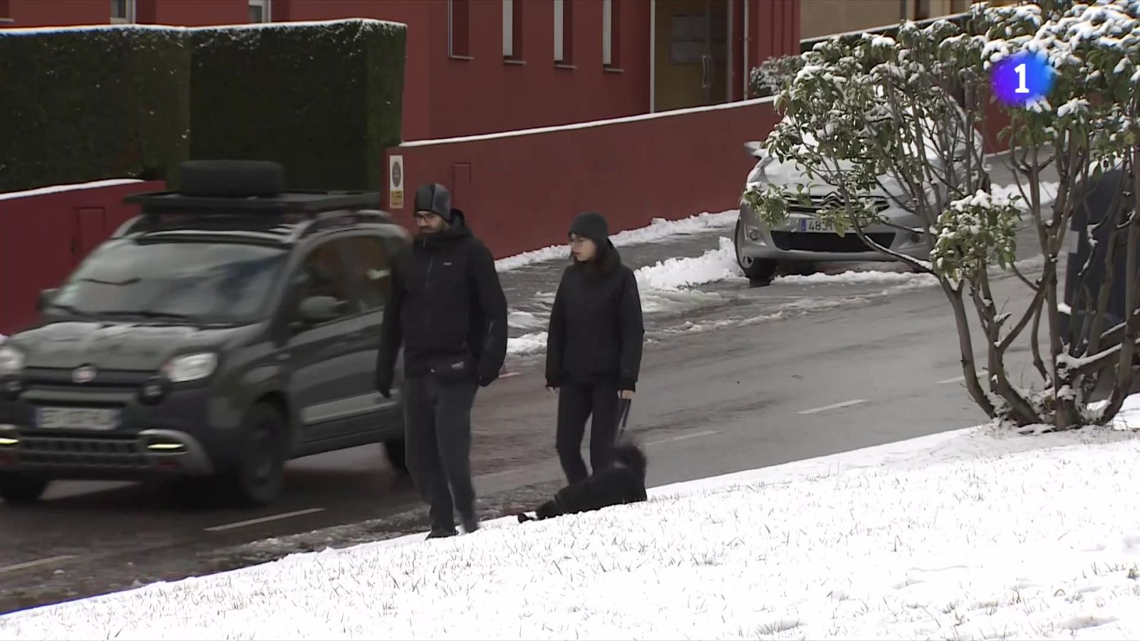 Primera nevada important de l'any al Pirineu - L'Informatiu | Veure