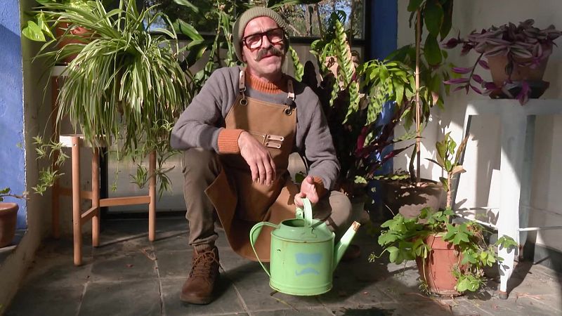 Aquí la Tierra -  La fórmula mágica para tu huerto doméstico