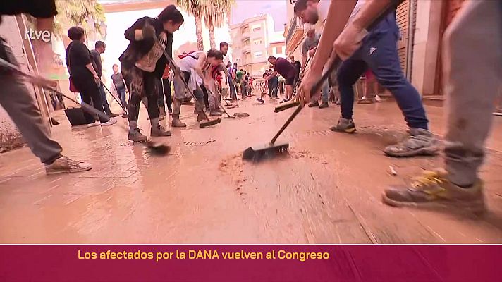 Parlamento - 100 días de la DANA