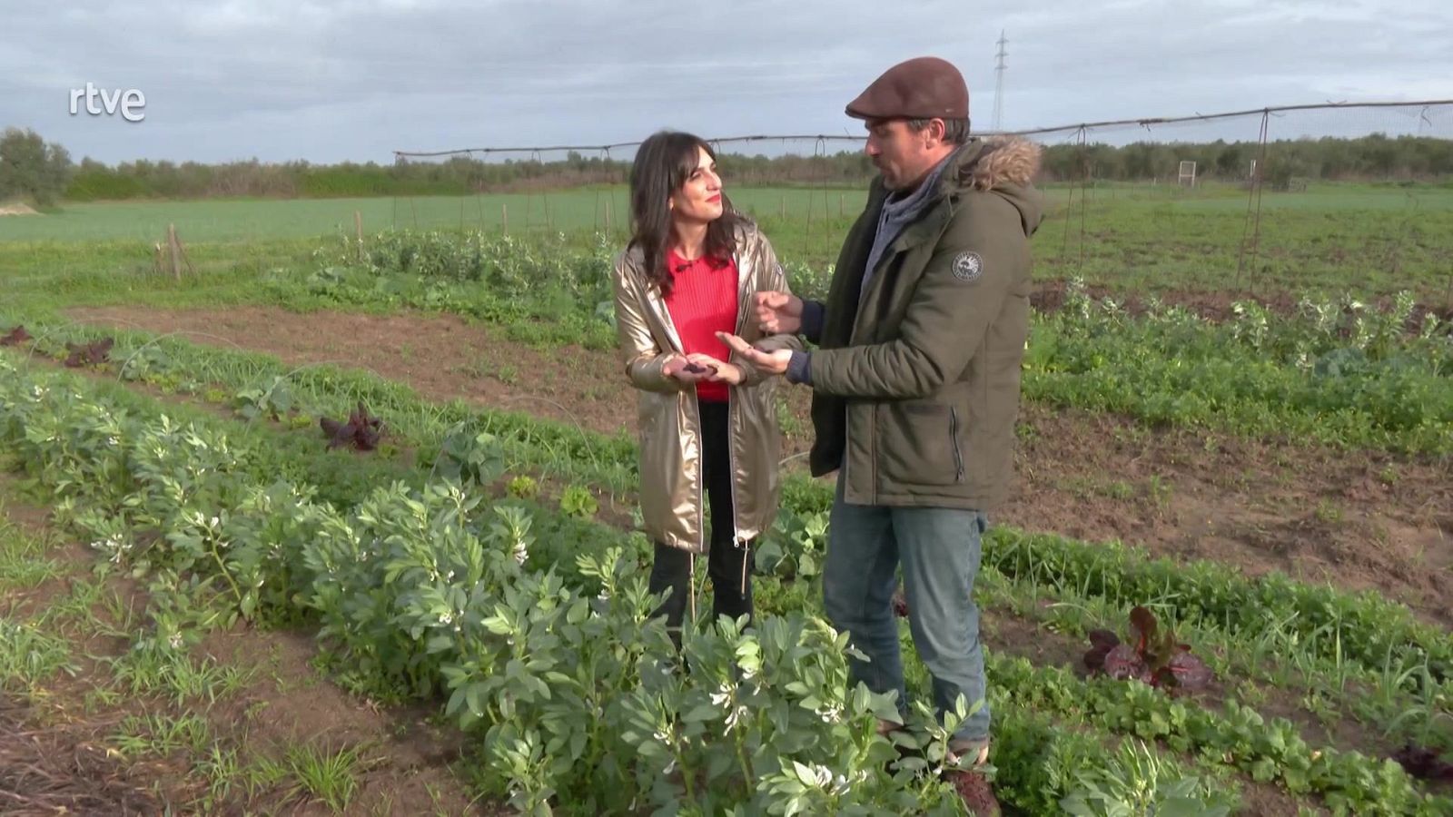El huerto de Renato - Aquí la Tierra | Ver