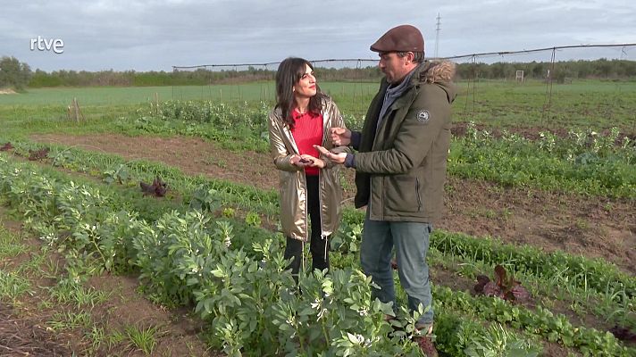 Aquí la Tierra - El huerto de Renato