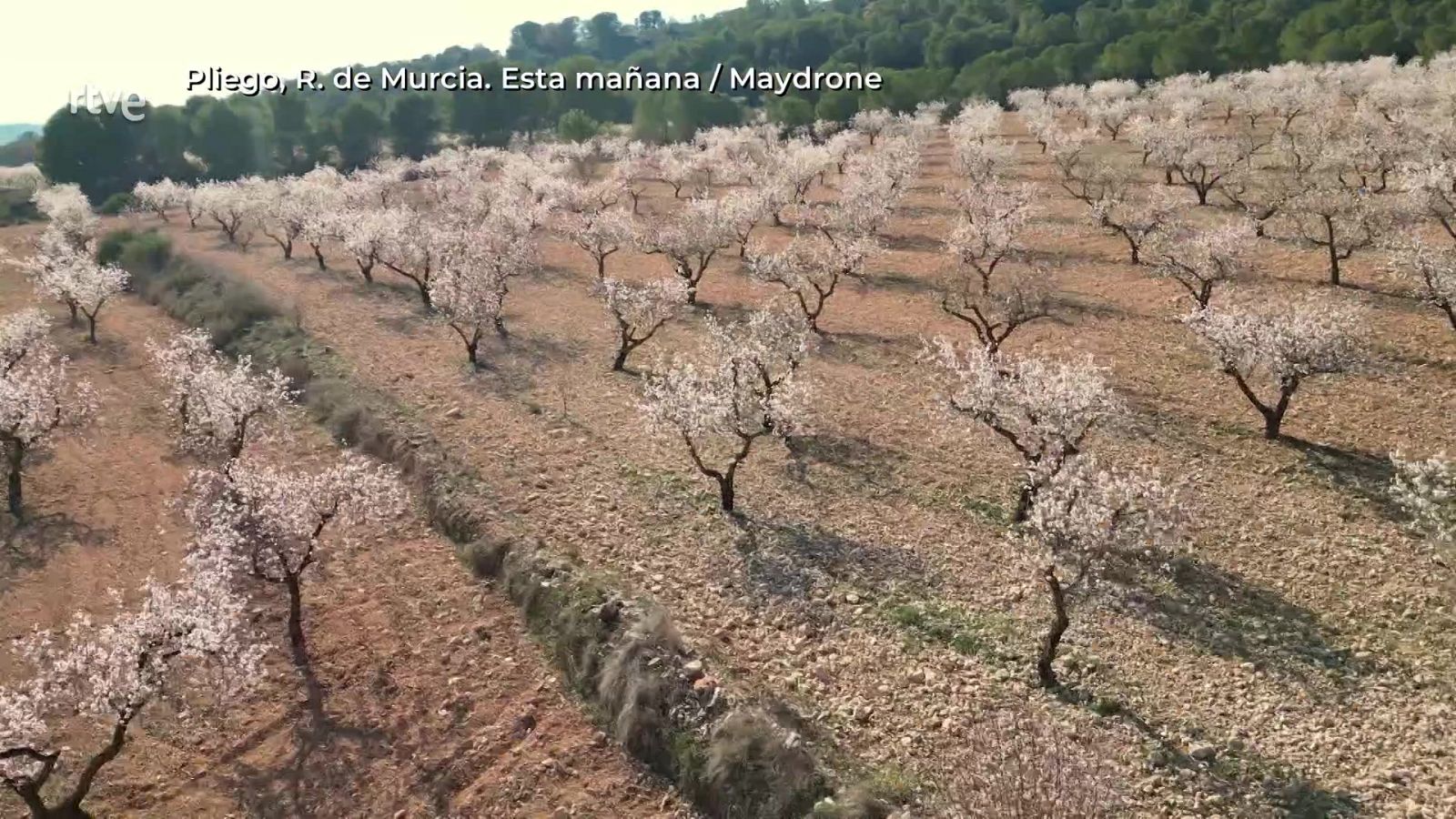 Aquí la Tierra - 10/02/25 - ver ahora