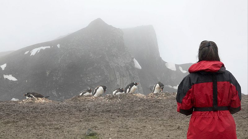 Día de la Mujer y la Niña en la Ciencia: así es la labor de varias científicas españolas en la Antártida - Telediario 1 | Ver