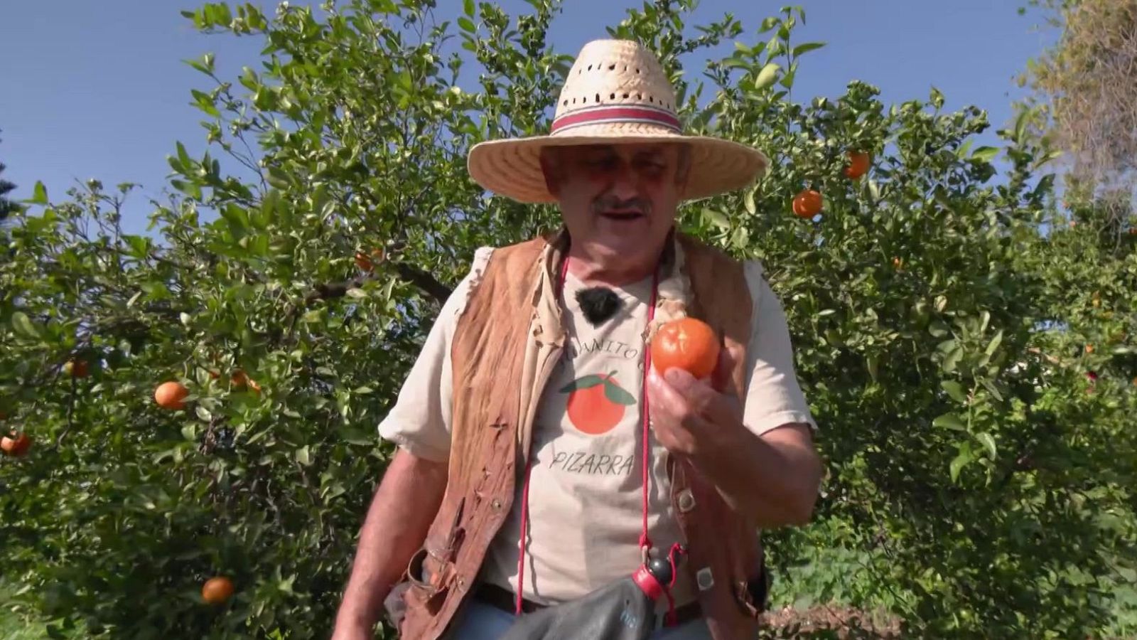 Juanito Orange y sus mandarinas | Ver