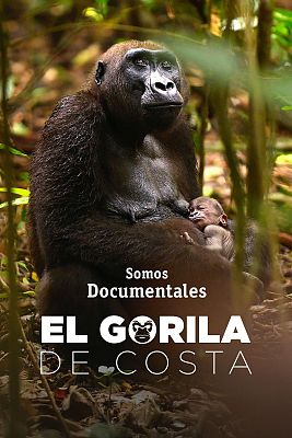 Somos Documentales - El gorila de costa
