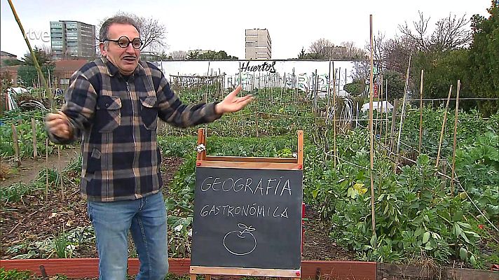 Aquí la Tierra - Las pequeñas de la familia