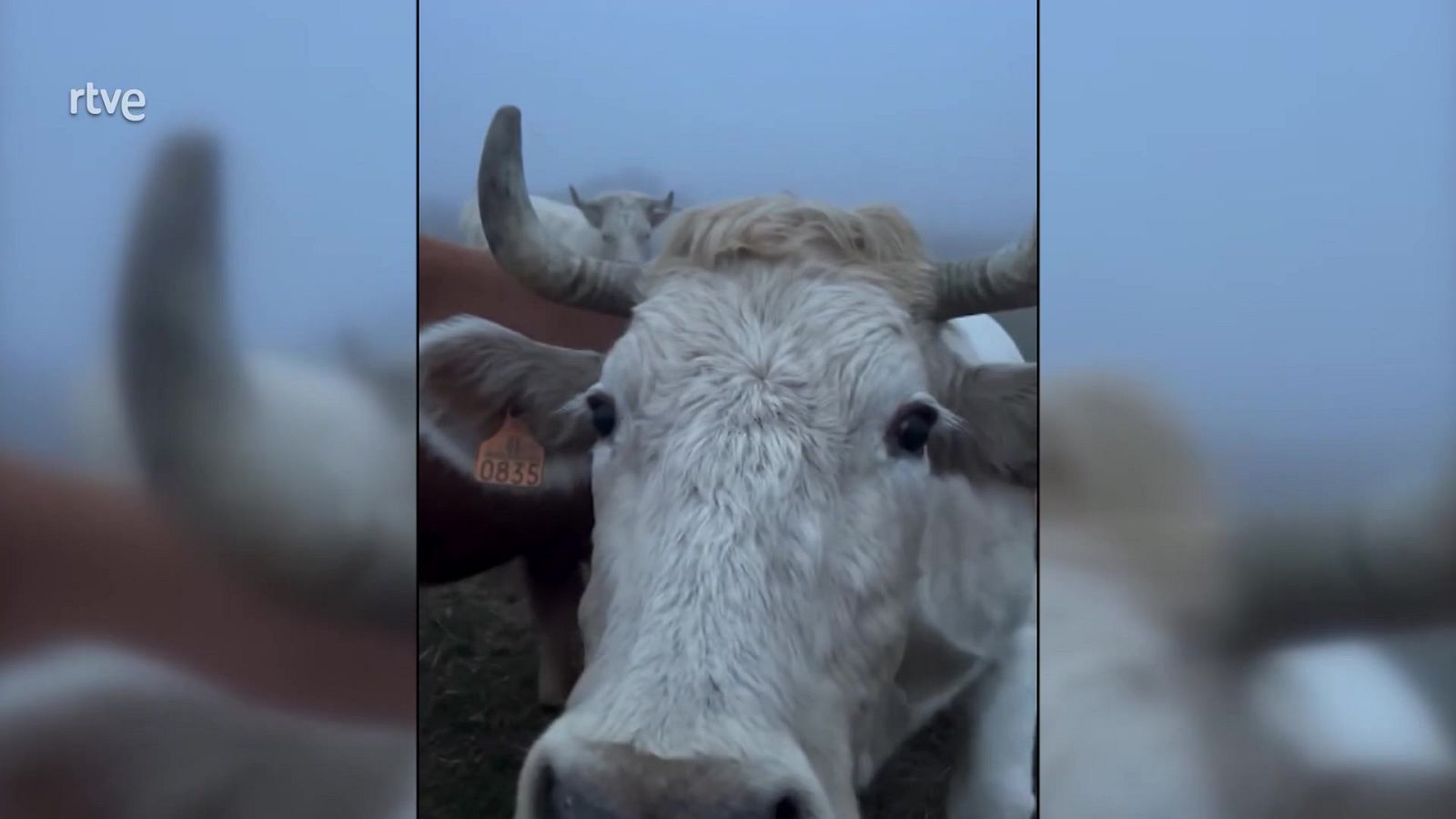 Aquí la Tierra - 12/02/25 - ver ahora