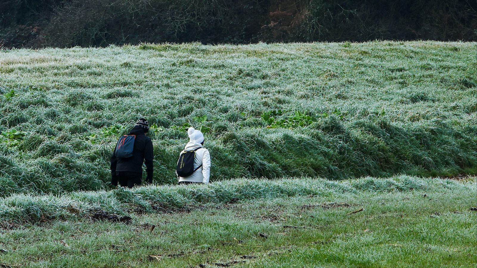 El tiempo matinal - 13/02/2024 - El tiempo | Ver