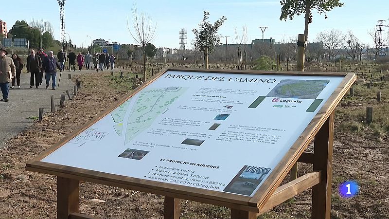 Telerioja en 2' - 13-02-2025 | Ver