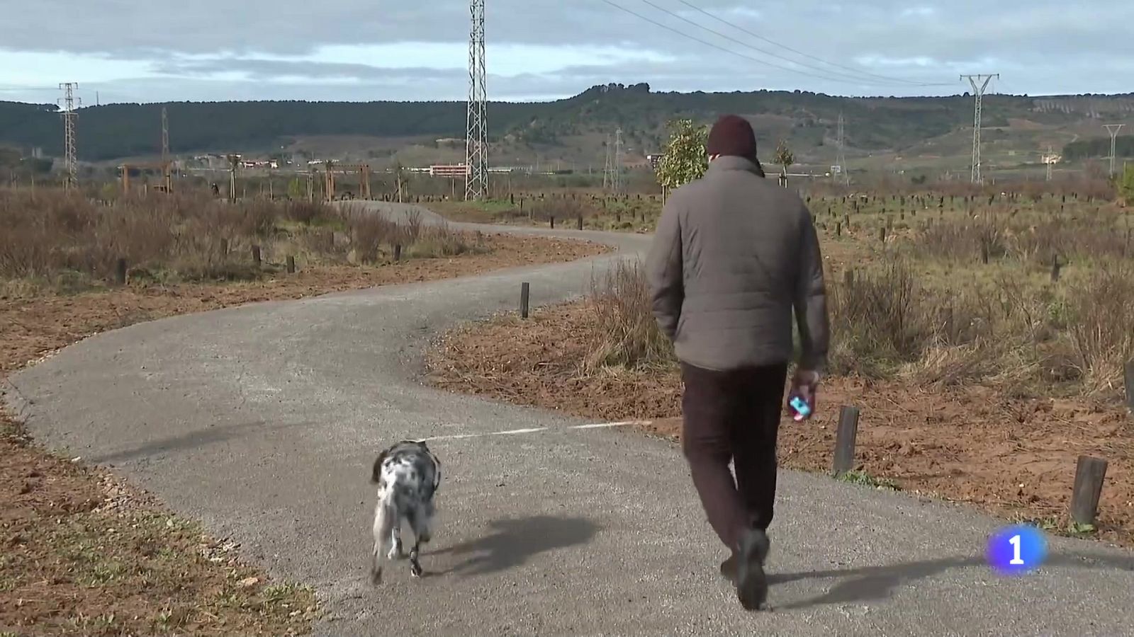 Informativo Telerioja 2 - 13-02-2025 - Informativo Telerioja | Ver