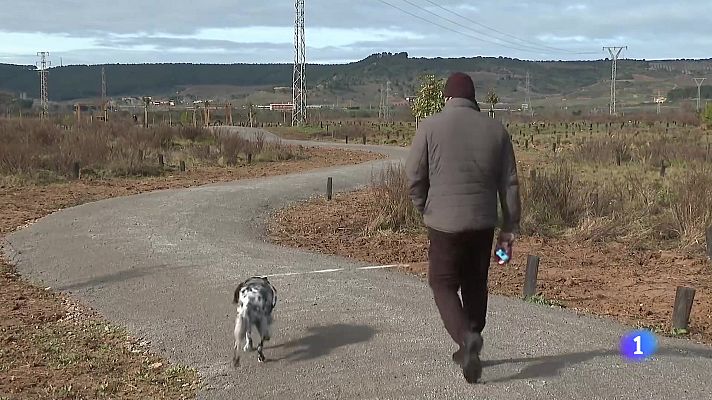 Informativo Telerioja - Informativo Telerioja 2 - 13-02-2025