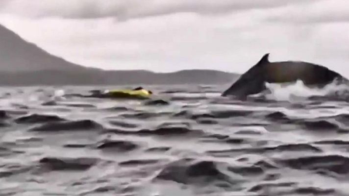 Aquí la Tierra - Y me comió una ballena