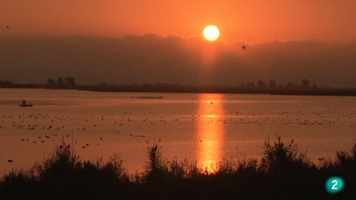 La aventura del Saber - Delta del Ebro I: El Clot