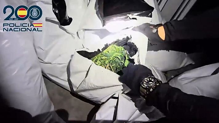 Telediario Fin de Semana - Desmantelada una plantación en Toledo con 1.350 plantas de marihuana