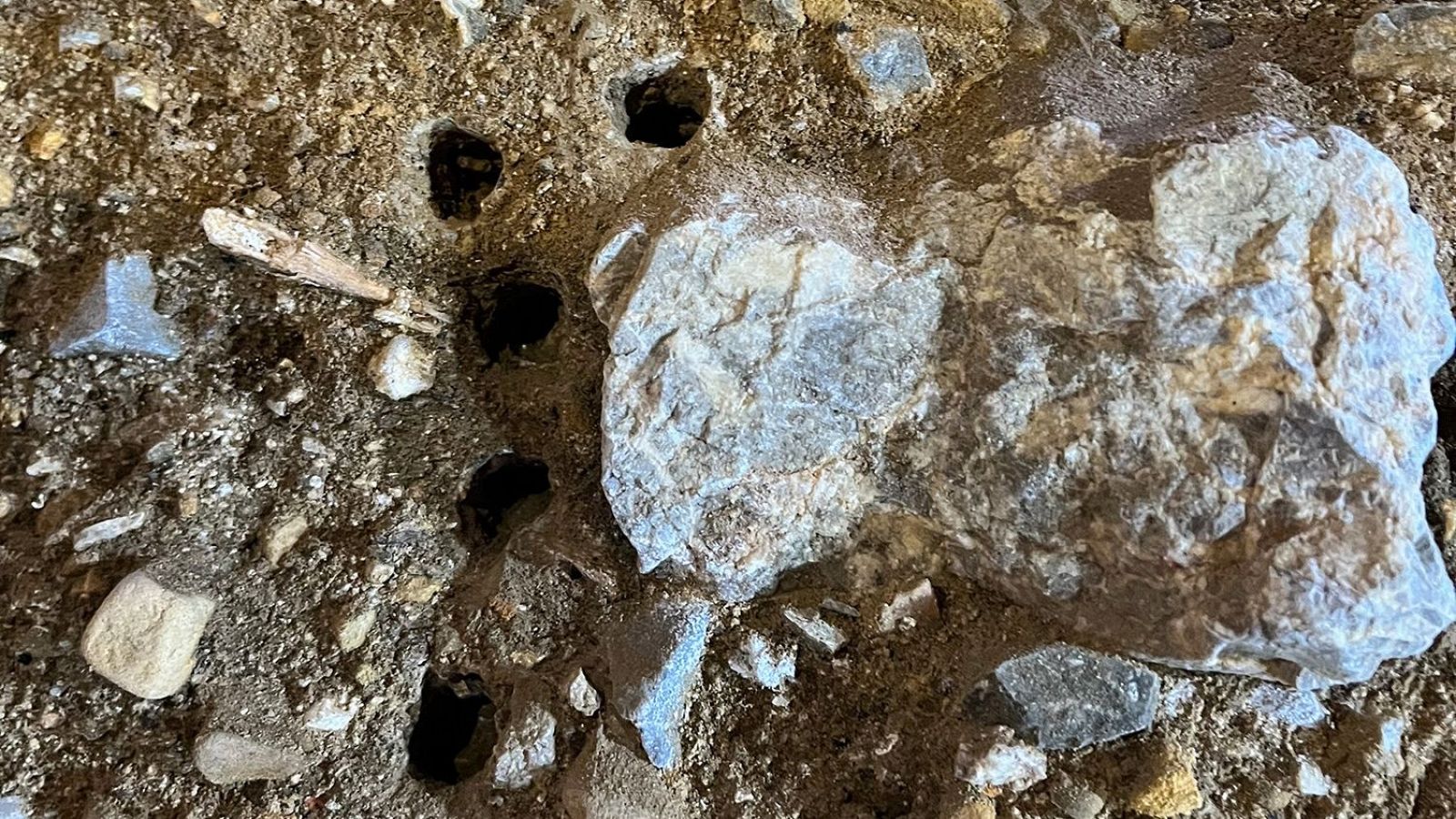 Cantabria: extraen sedimentos de ADN de hace 25.000 años en una cueva | Ver