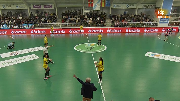 Balonmano - Liga Guerreras Iberdrola. 17ª jornada: Mecalia At. Guardés - Rocasa Gran Canaria
