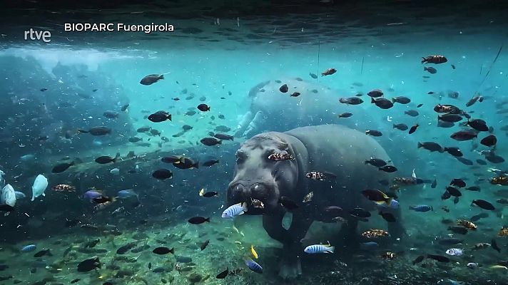 Aquí la Tierra - Aquí la Tierra - 16/02/25