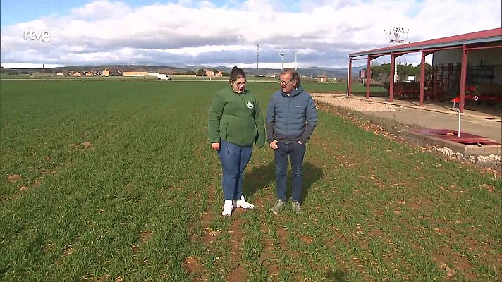 Aquí hay trabajo - Sin relevo para los “boomers”