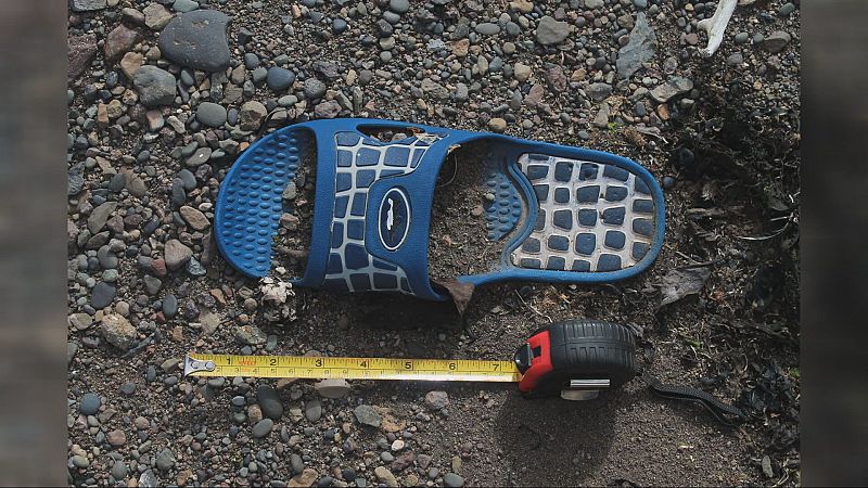 Una zona protegida de la Antártida aparece repleta de basura | Ver