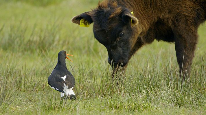 Somos Documentales - Defender a la familia