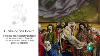 Un paseo bot�nico por el Prado | Ver