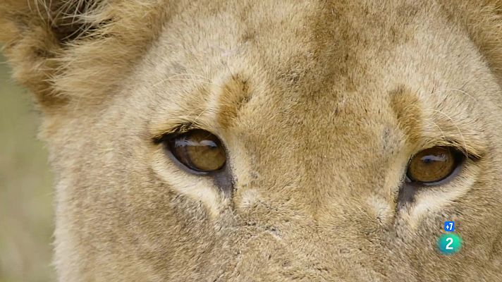 Som Documentals - Defensant la familia