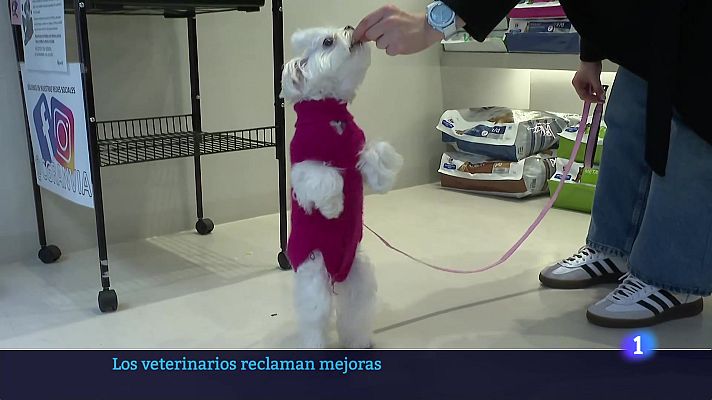 Informativo Telerioja - Informativo Telerioja 2 - 18-02-2025