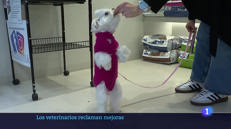 Informativo Telerioja 2 - 18-02-2025 | Ver