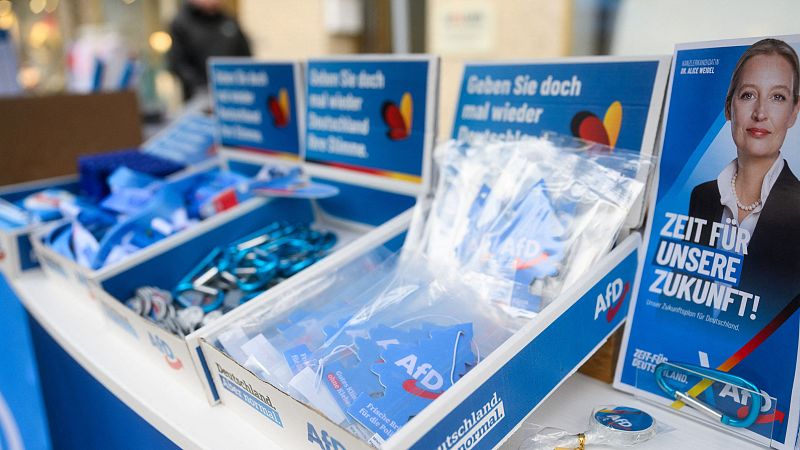 La Policía alemana investiga la propaganda del partido ultraderechista AfD