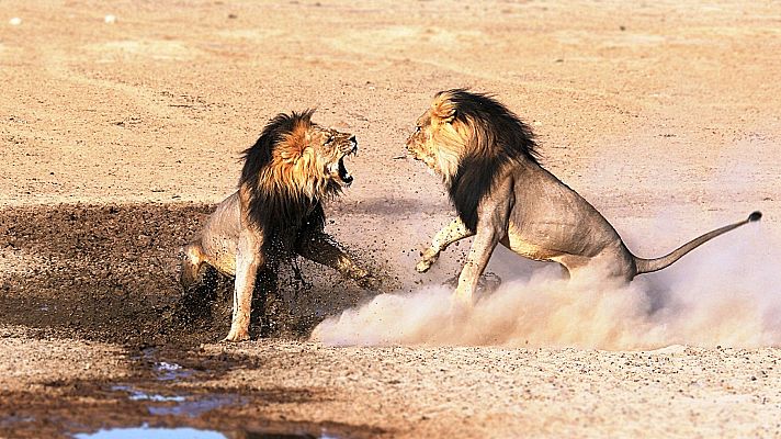 Campos de batalla naturales - Al rojo vivo