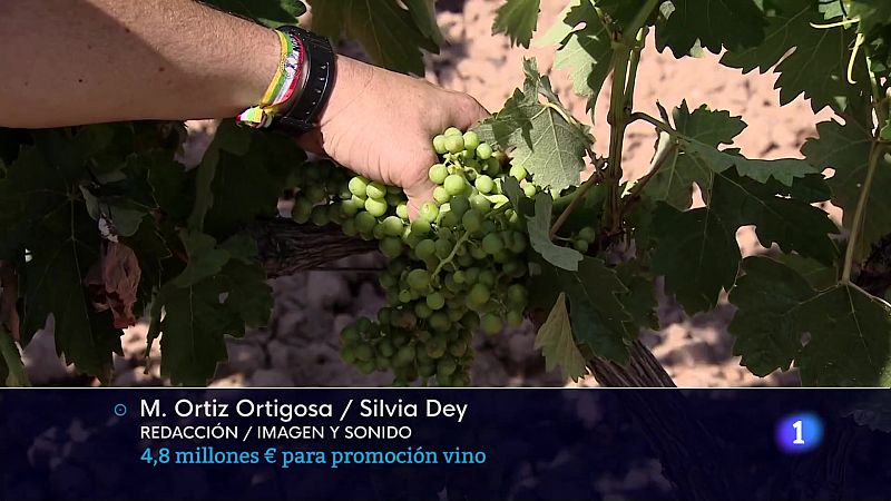 Informativo Telerioja 2 - 21-02-25 | Ver