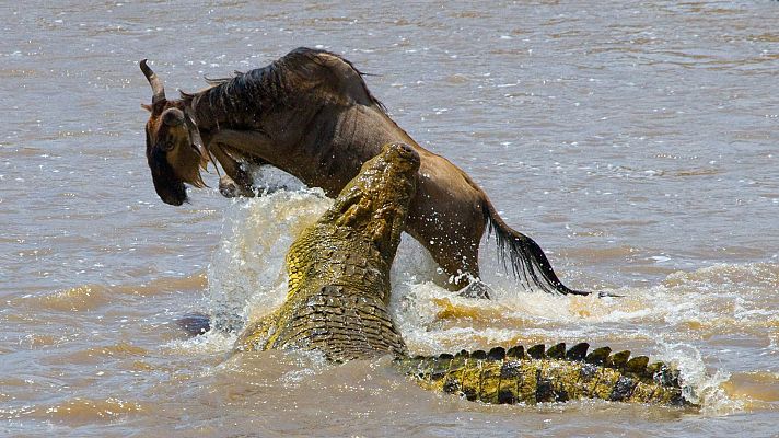 Campos de batalla naturales - Guerras acuáticas