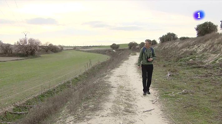 Telediario Fin de Semana - Árboles que florecen antes