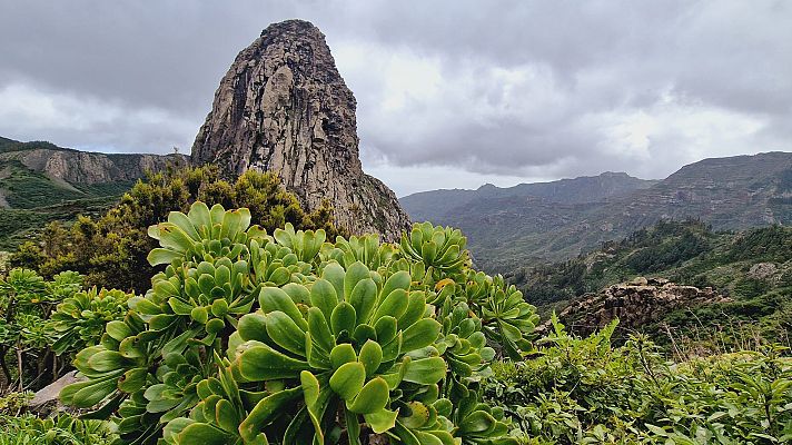 Paisaje montañoso con roca gris prominente y vegetación verde abundante en primer plano; fondo montañoso y cielo nublado.