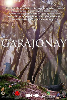 Garajonay. El bosque primigenio de Europa
