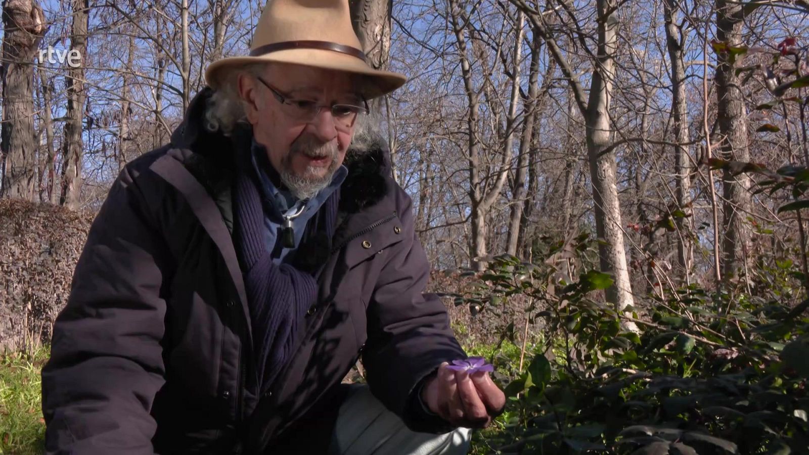 La Vincapervinca - Aquí la Tierra | Ver