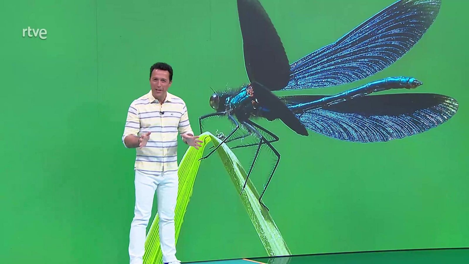 Aquí la Tierra - 24/02/25 - ver ahora