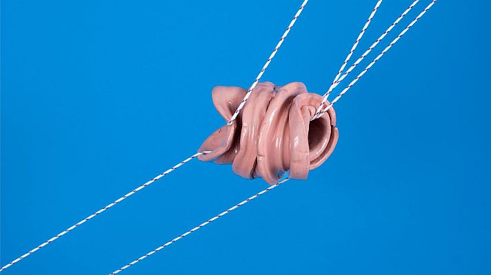 Metrópolis - Teresa Solar Abboud