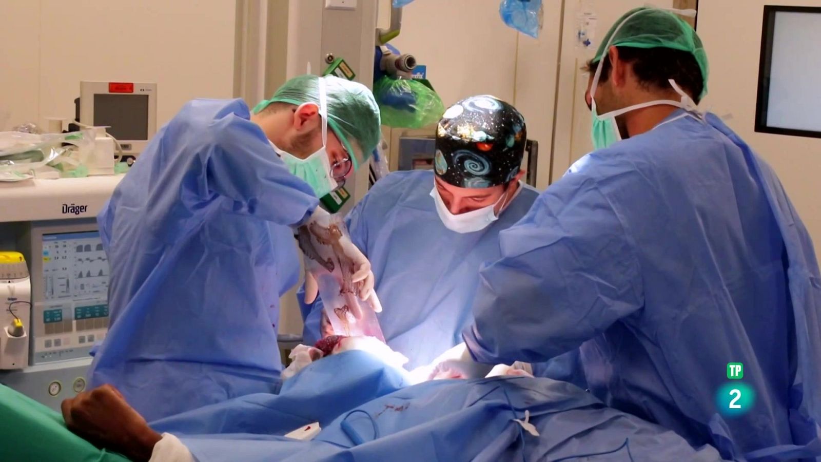 Piel artificial | Ver